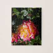 Puzzle Rosy Glow (Vertical)