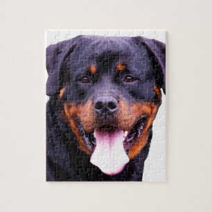 Puzzle rottweiler