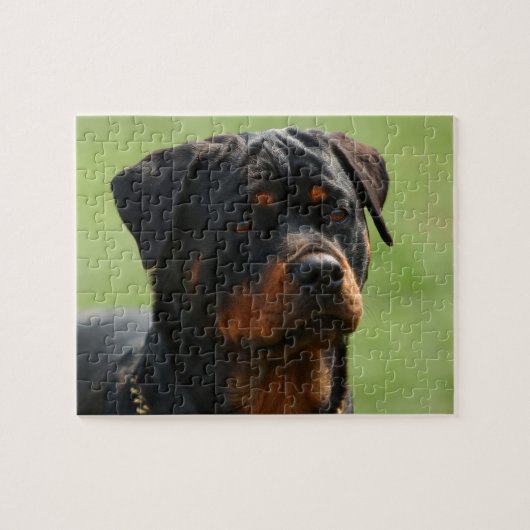 Puzzle Rottweiler (Horizontal)