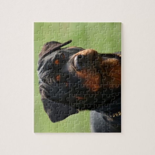 Puzzle Rottweiler (Vertical)