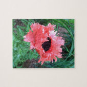 Puzzle "Rouffes roses" POPPY Oriental — (Horizontal)