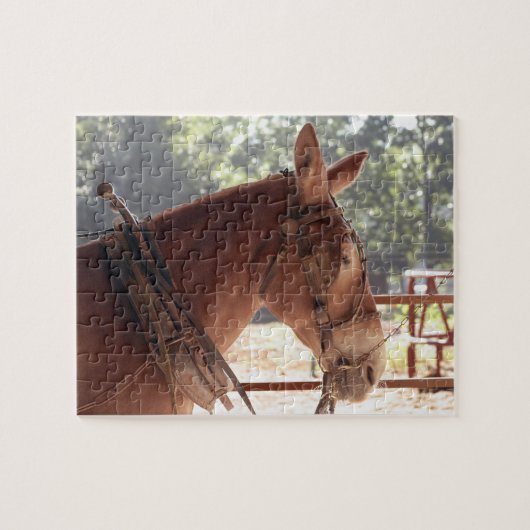 Puzzle rouge de mule (Horizontal)