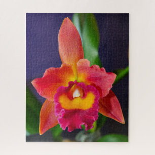 Puzzle rouge et orange