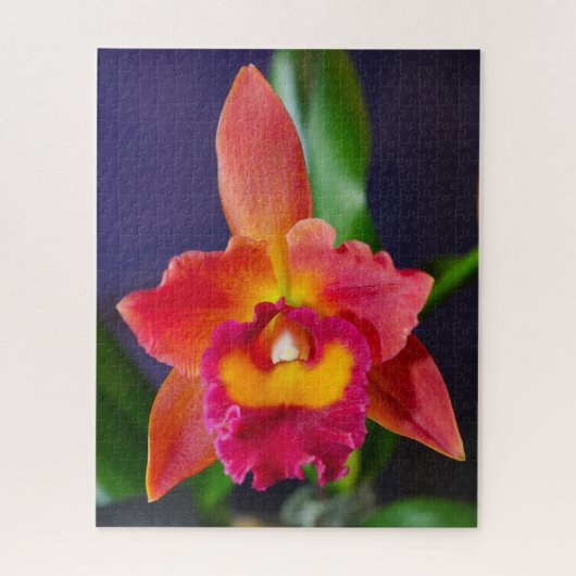 Puzzle rouge et orange (Vertical)