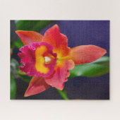 Puzzle rouge et orange (Horizontal)