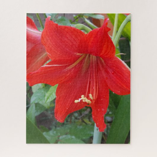 Puzzle rouge Lilly (Vertical)