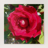 Puzzle Rouge Velvet Bud (Horizontal)