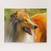 Puzzle Rough Collie Dog Jigsaws. (Horizontal)