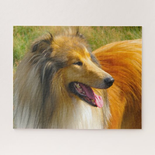 Puzzle Rough Collie Dog Jigsaws. (Horizontal)
