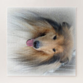 Puzzle Rough Collie Portrait (Horizontal)