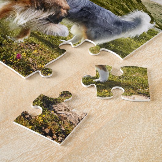 Puzzle Rough Collies Portrait & Sheep Herding + Devis - (Côté)