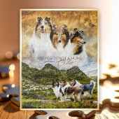 Puzzle Rough Collies Portrait & Sheep Herding + Devis -