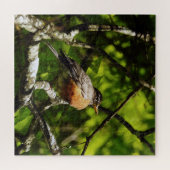 Puzzle Round Robin (Horizontal)