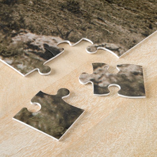 Puzzle Round Up (Colorado, 1898) (Côté)