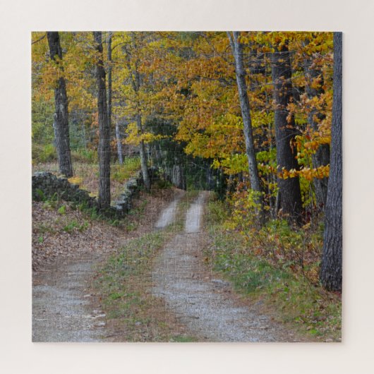 Puzzle Route de campagne en automne (Vertical)