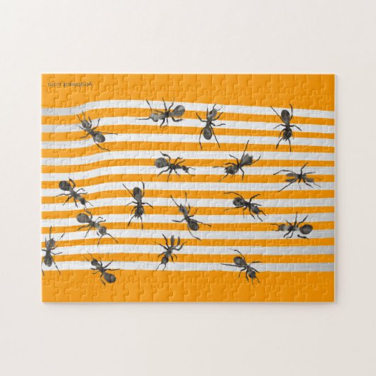 Puzzle Route de fourmi (Horizontal)