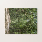 Puzzle Route de l'Angel Oak (Horizontal)