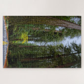 Puzzle Route directe à travers la forêt de séquoias (Horizontal)