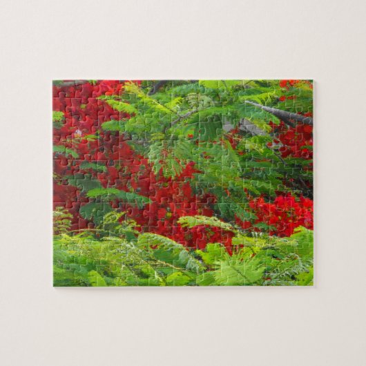 Puzzle Royal Poinciana (Horizontal)