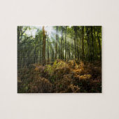 Puzzle Royaume-Uni, Angleterre. Rayons de lumière du sole (Horizontal)