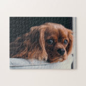 Puzzle Ruby Cavalier King Charles Spaniel Chien Chien Chi (Horizontal)