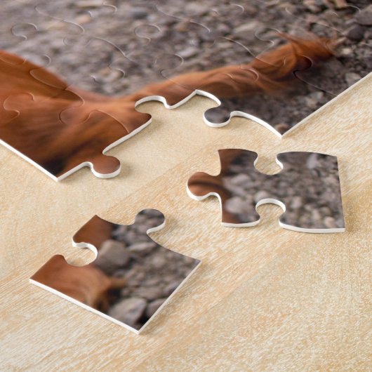 Puzzle Ruby Cavalier King Charles Spaniel Chien Chien Chi (Côté)