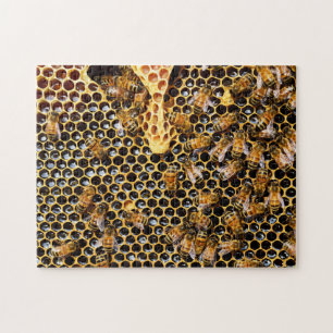 Puzzle Ruche d'abeilles avec peigne d'abeille