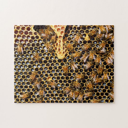 Puzzle Ruche d'abeilles avec peigne d'abeille (Horizontal)