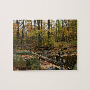 Puzzle Ruisseau de Fall avec reflet au parc Laurel Hill