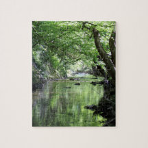 ruisseau forestier