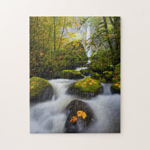 Puzzle Ruisseau McCord Grand Érable Columbia Gorge, OR