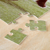 Puzzle running red fox photographe (Côté)