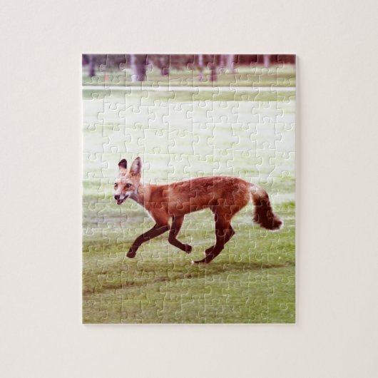 Puzzle running red fox photographe (Vertical)