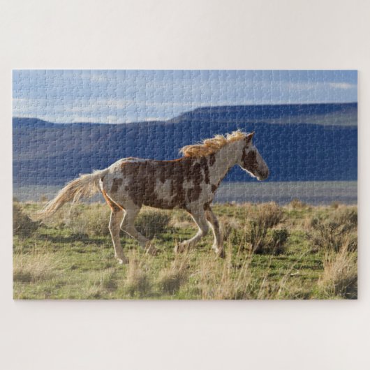 Puzzle Running Stallion, Steens Mountains, Oregon (Horizontal)
