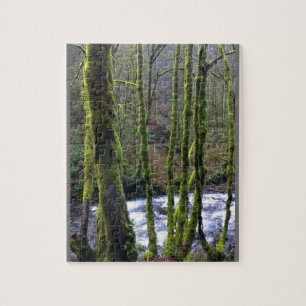 Puzzle Runoff from Bridal Veil Falls