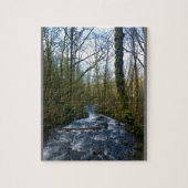 Puzzle Runoff from Bridal Veil Falls (Vertical)