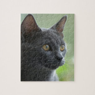 Puzzle Russian Blue Cat
