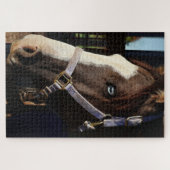 Puzzle Rustic Horse Photography Puzzle- Original Photo (Horizontal)