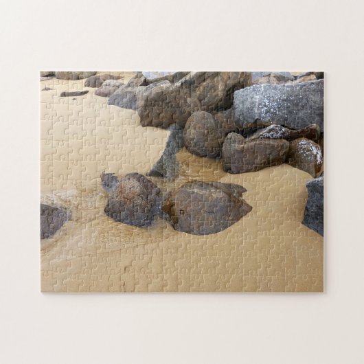Puzzle Sable et pierres (Horizontal)