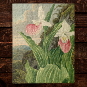 Puzzle Sabot de Vénus Fleur de Orchidée Botanique Floral