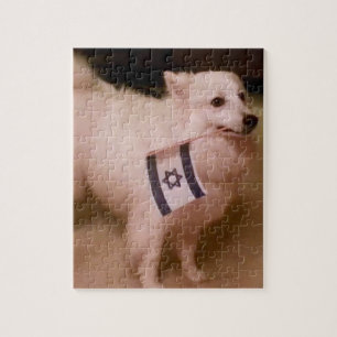 Puzzle Sadie le chien juif