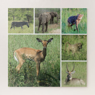 Puzzle safari afrique