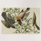 Puzzle Sage Thrasher and Varied Thrush, Audubon's Birds (Horizontal)