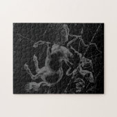 Puzzle Sagittarius Constellation Classy Hevelius (Horizontal)