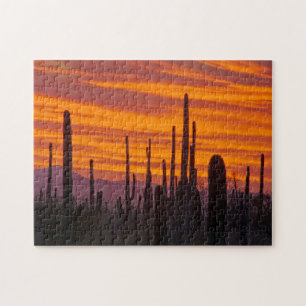 Puzzle Saguaro, coucher de soleil, Parc national de Sagua