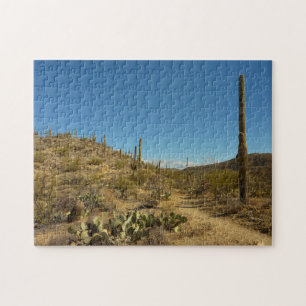 Puzzle Saguaro's Carillo Trail in Saguaro National Park