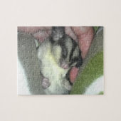 Puzzle Saigneuse à sucre dormant dans la couverture (Horizontal)