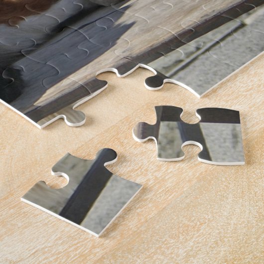 Puzzle Saint Bernard (Côté)