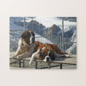 Puzzle Saint Bernard (Horizontal)