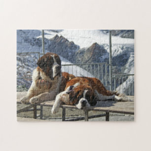 Puzzle Saint Bernard